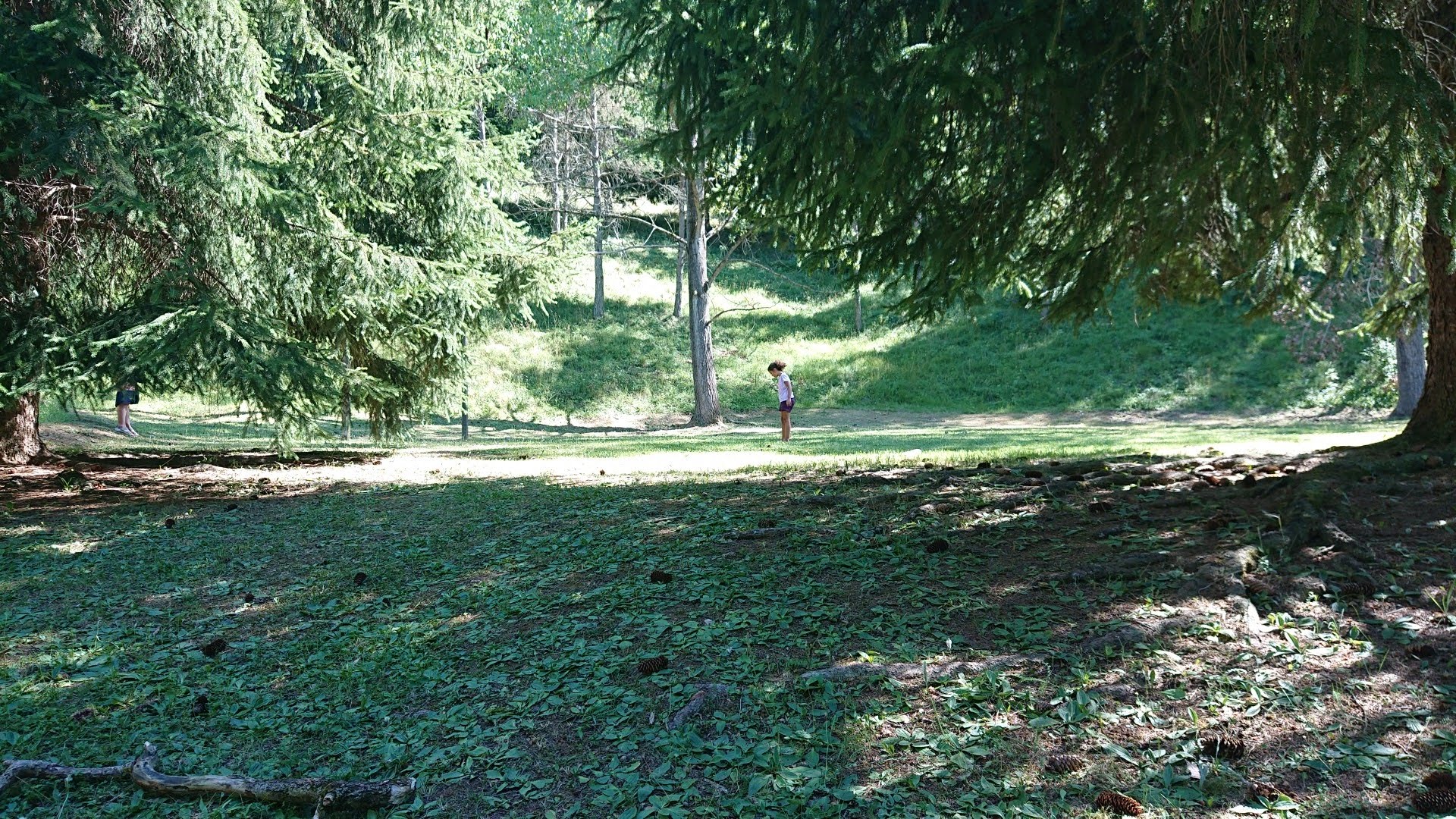 IMG20220708171005601