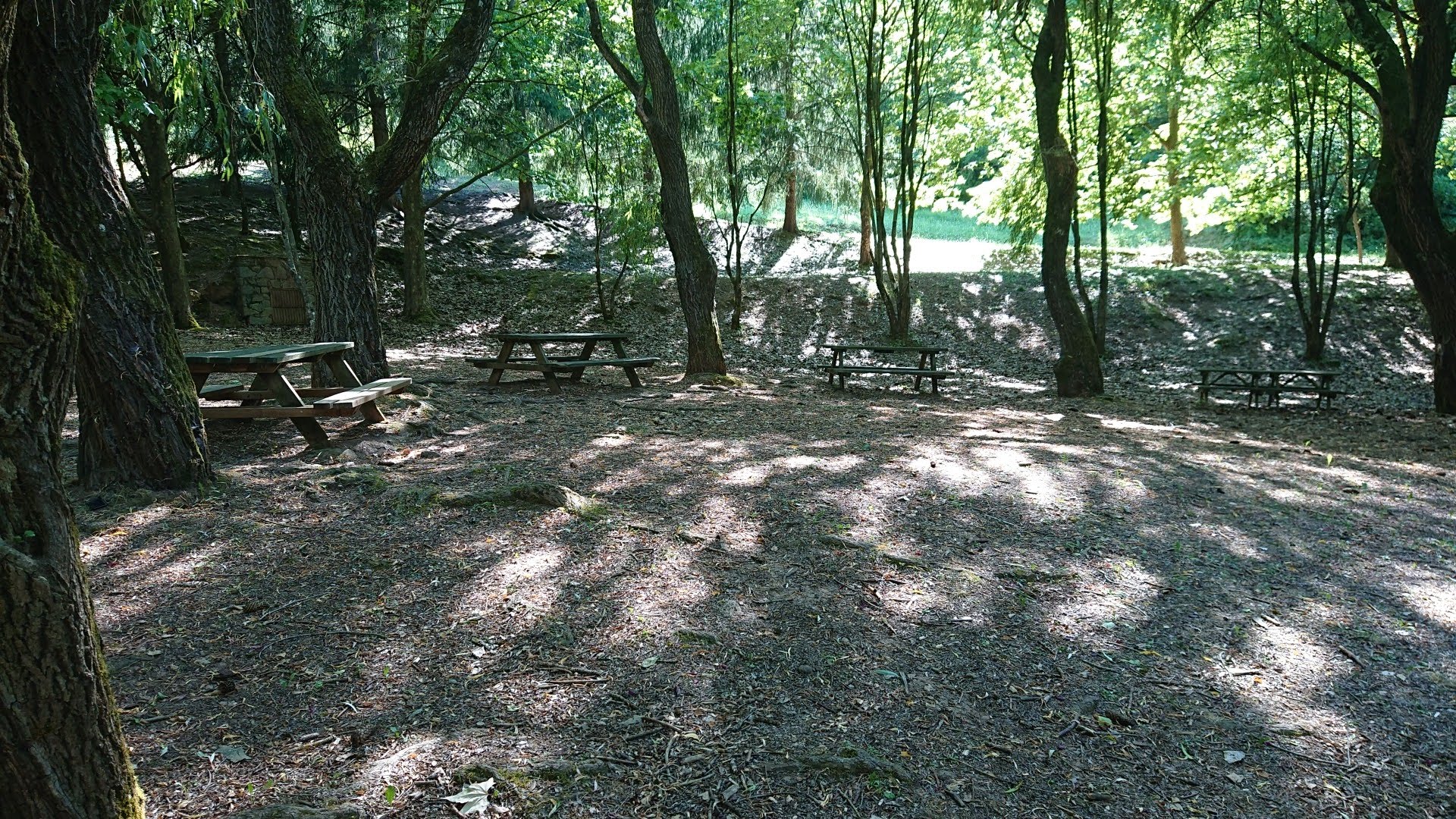 IMG20220708172054421