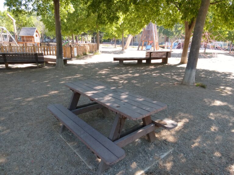 IMG 20240426 104218 675 768x576