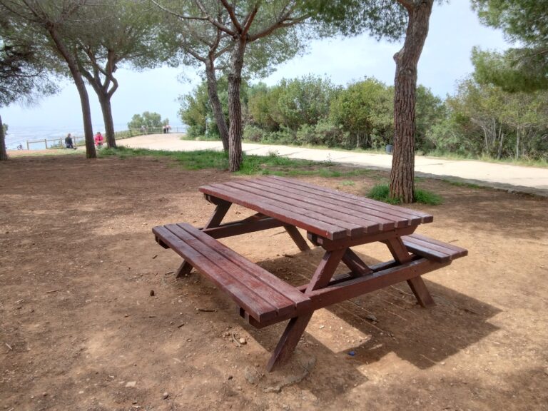 IMG 20240427 121321 917 768x576