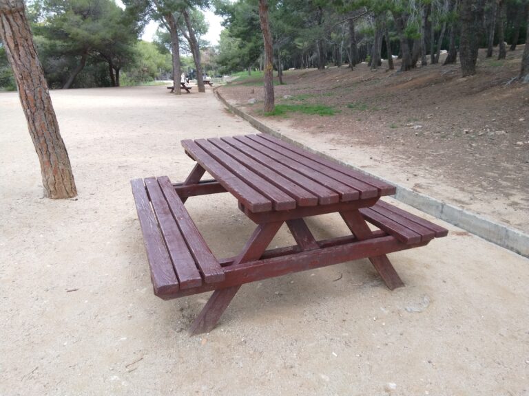 IMG 20240427 123046 233 768x576