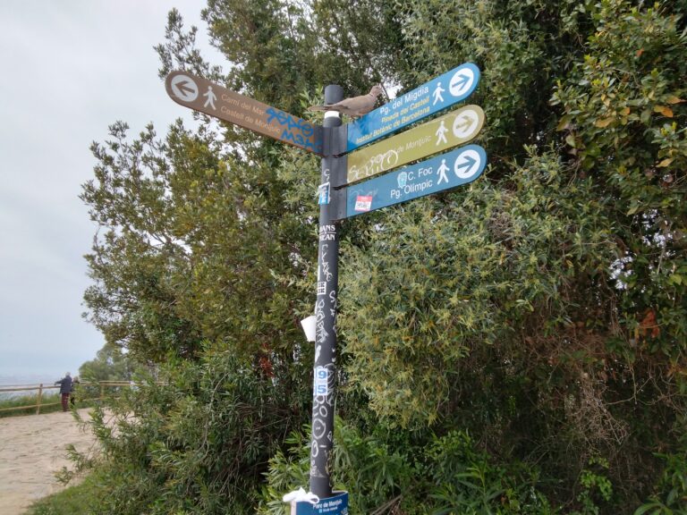 IMG 20240427 123655 295 768x576