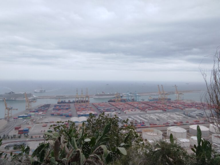 IMG 20240427 130626 985 768x576