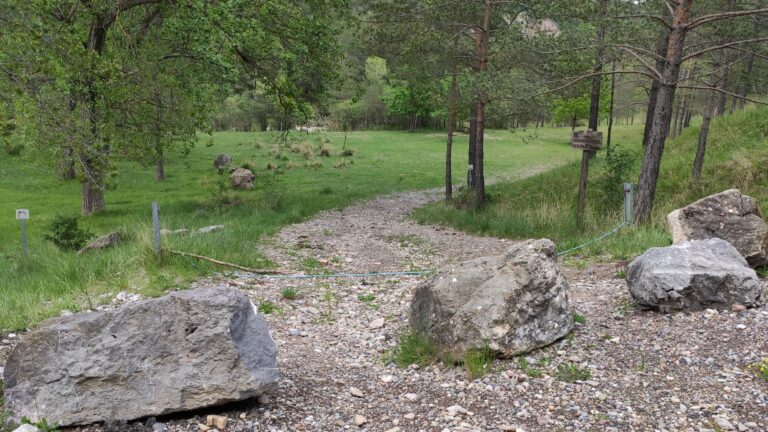 IMG 20240520 175308 768x432