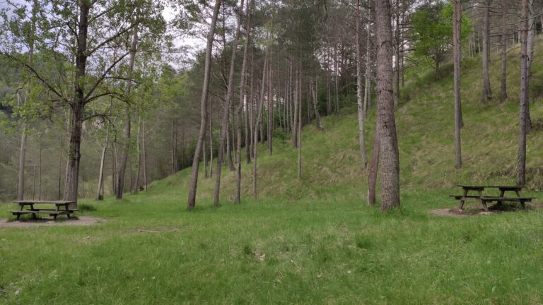 IMG 20240520 175817 768x432