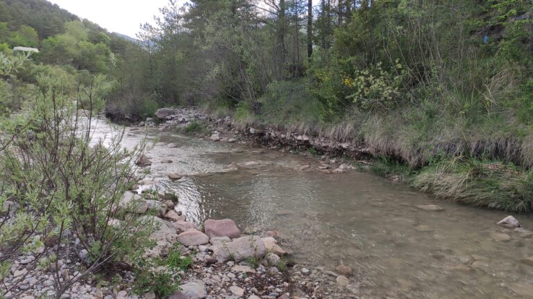 IMG 20240520 180448 768x432