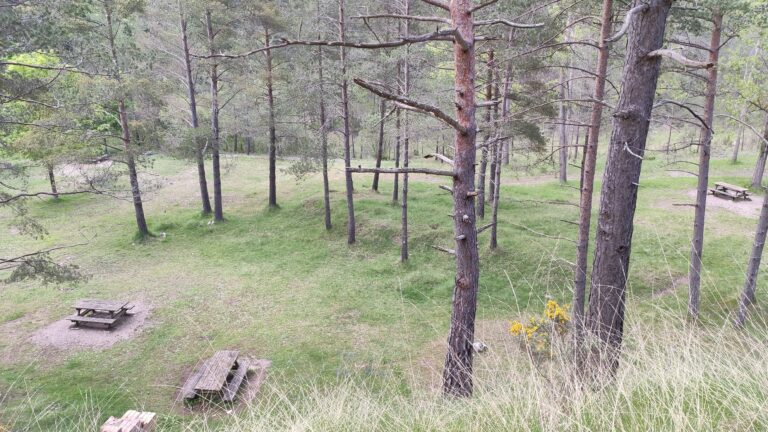 IMG 20240520 180920 768x432