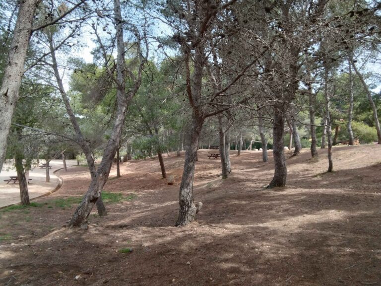Parc del mirador del migdia montjuic6 768x576