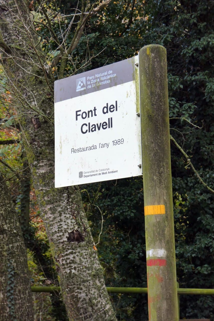 picnic Font del clavell santa pau