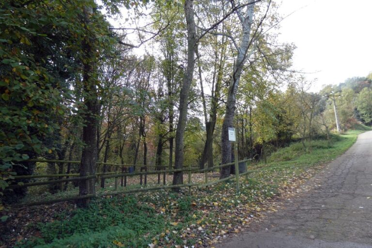 picnic Font del clavell santa pau2 768x512