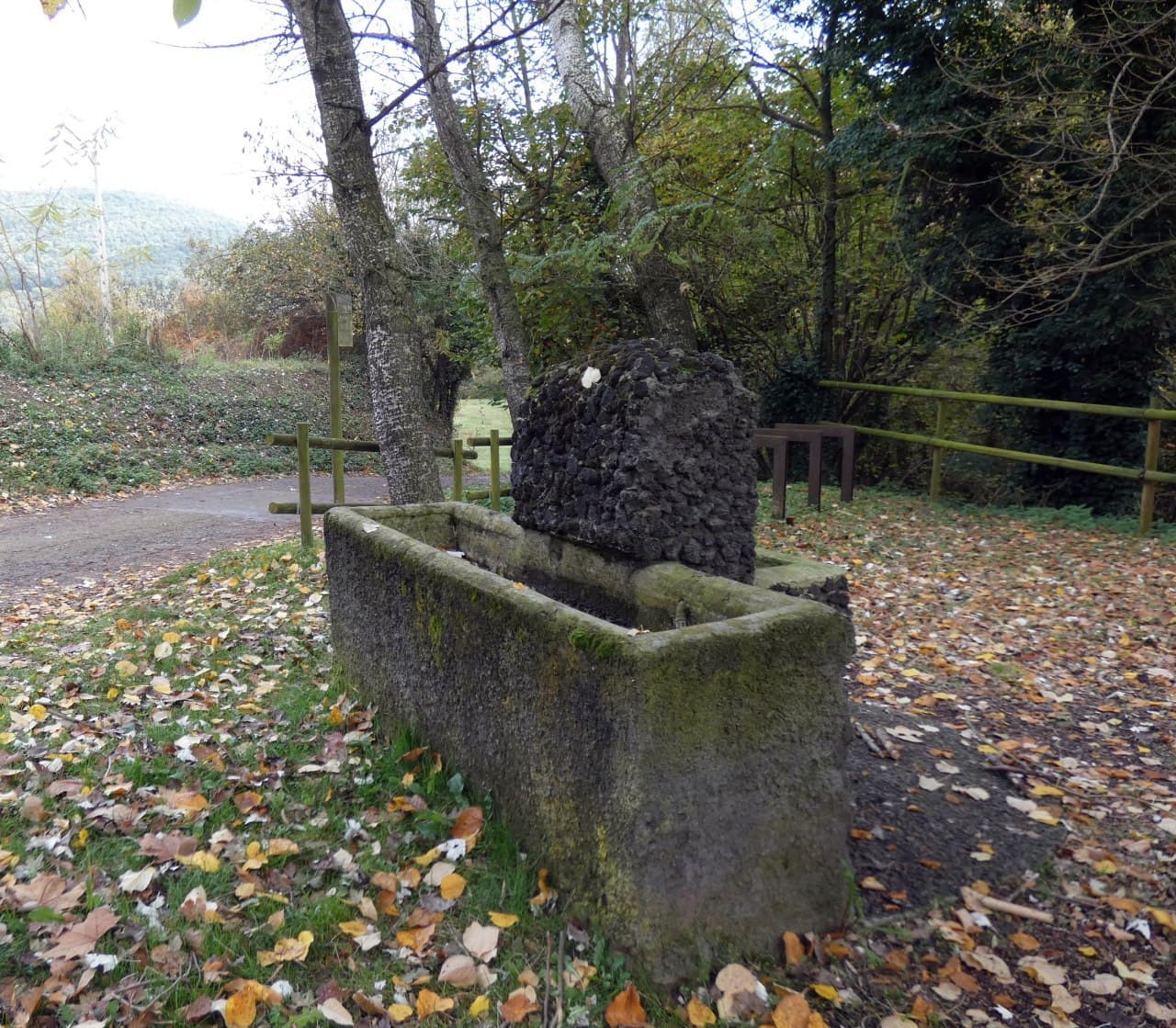 picnic Font del clavell santa pau4