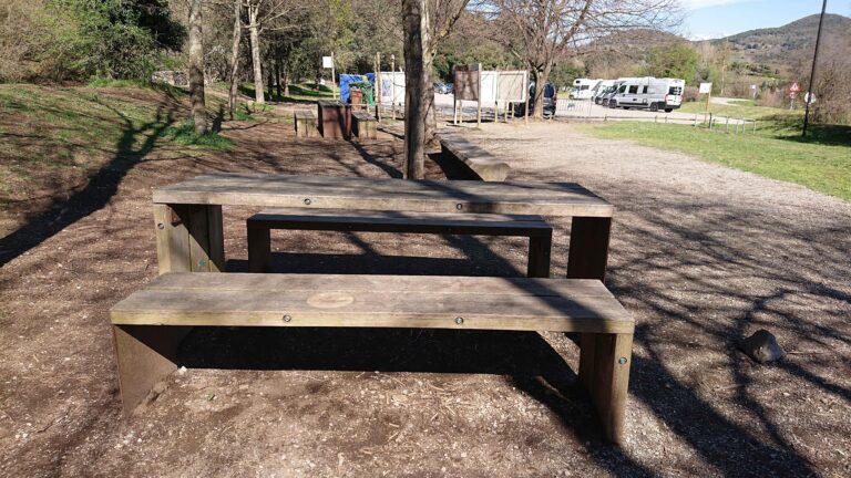 zona de picnic aparcament volca santa margarida i croscat7 768x432