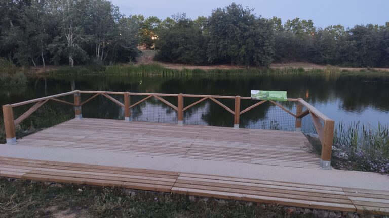 IMG 20240625 214731 768x432
