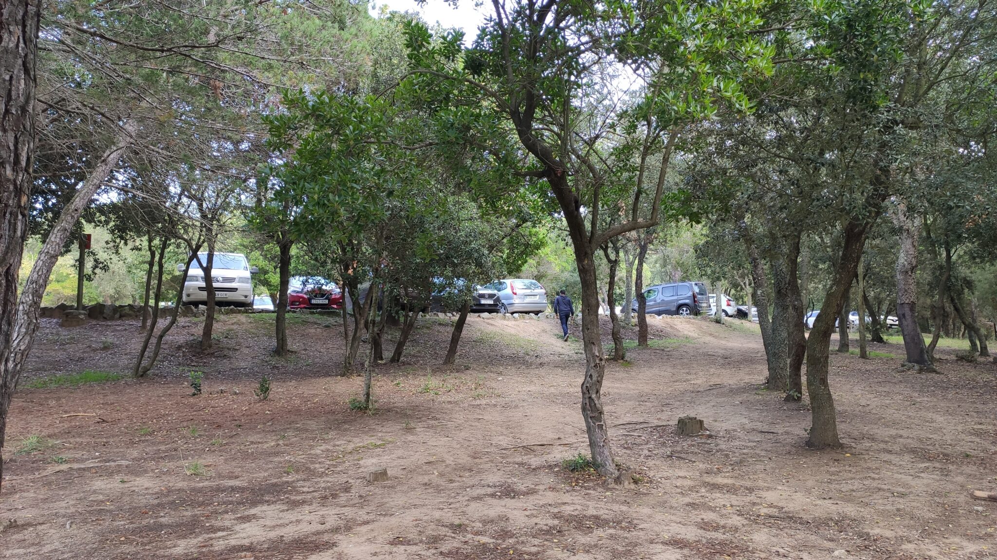 Area Esplai Corredor bosc3 mappicnic copia 2048x1152