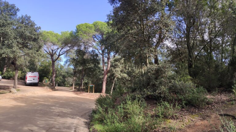 AreaEsplaiCorredor bosc 768x432