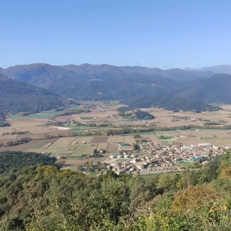 IMG 20221118 174231 264 768x768