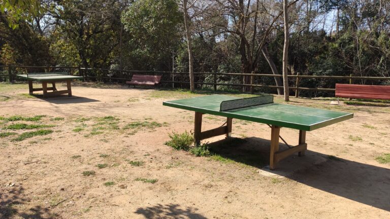 IMG 20230323 104726 768x432