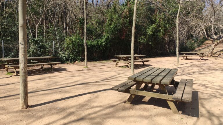 IMG 20230323 111251 768x432