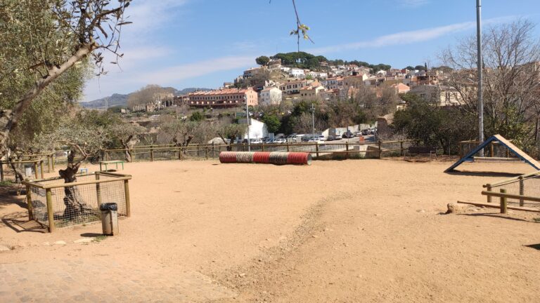 IMG 20230323 113829 768x432