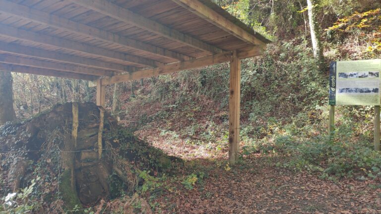 IMG 20241117 122928 768x432