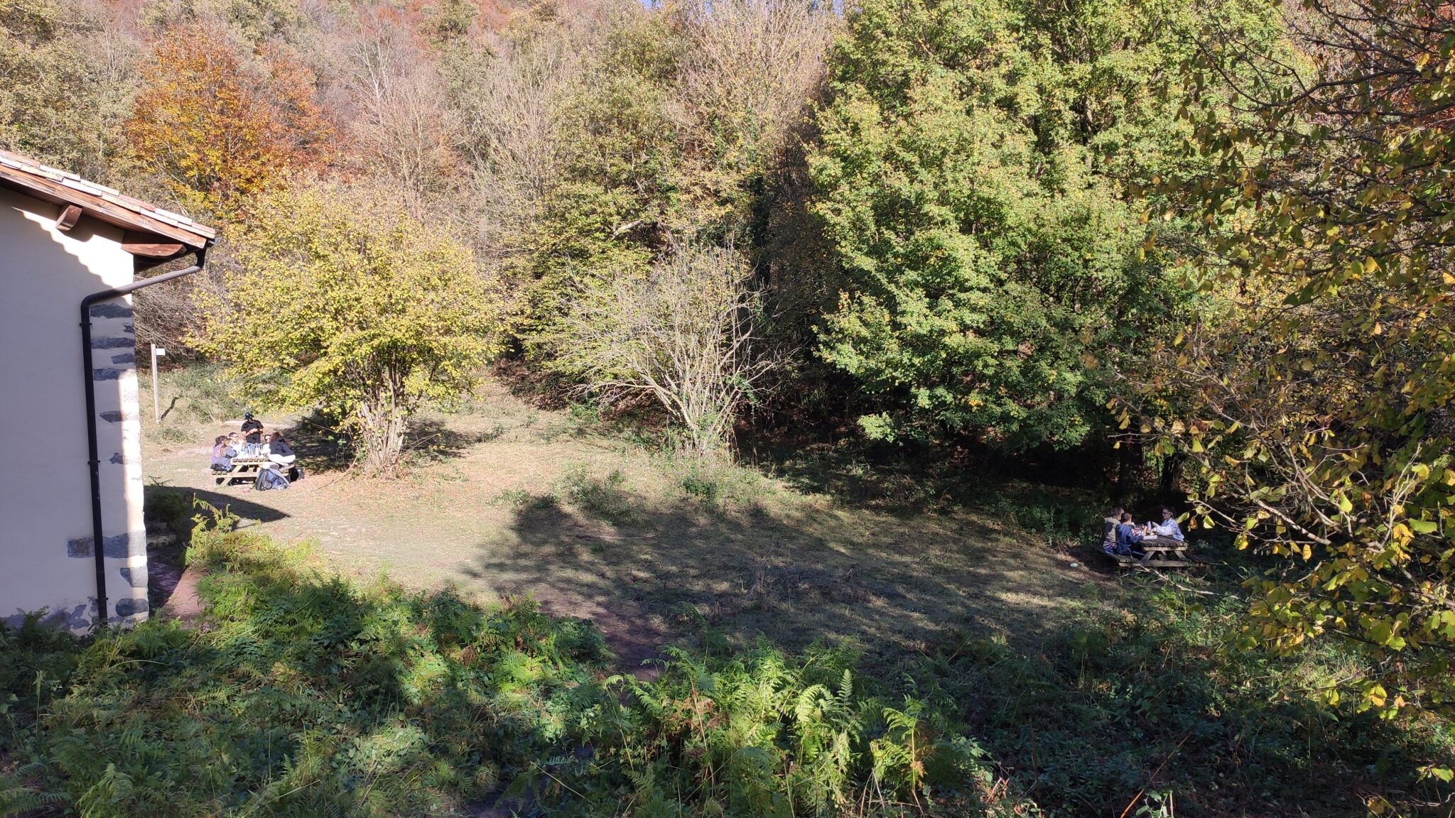 IMG 20241117 145533 2048x1152