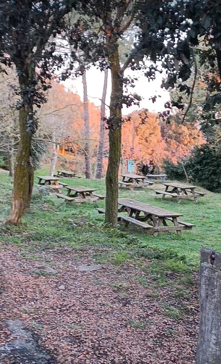 inbound7001339836713324252 768x1263