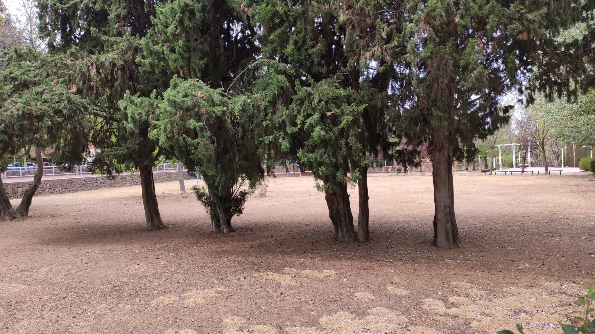 Parc Central de Sant Cugat20 2048x1152
