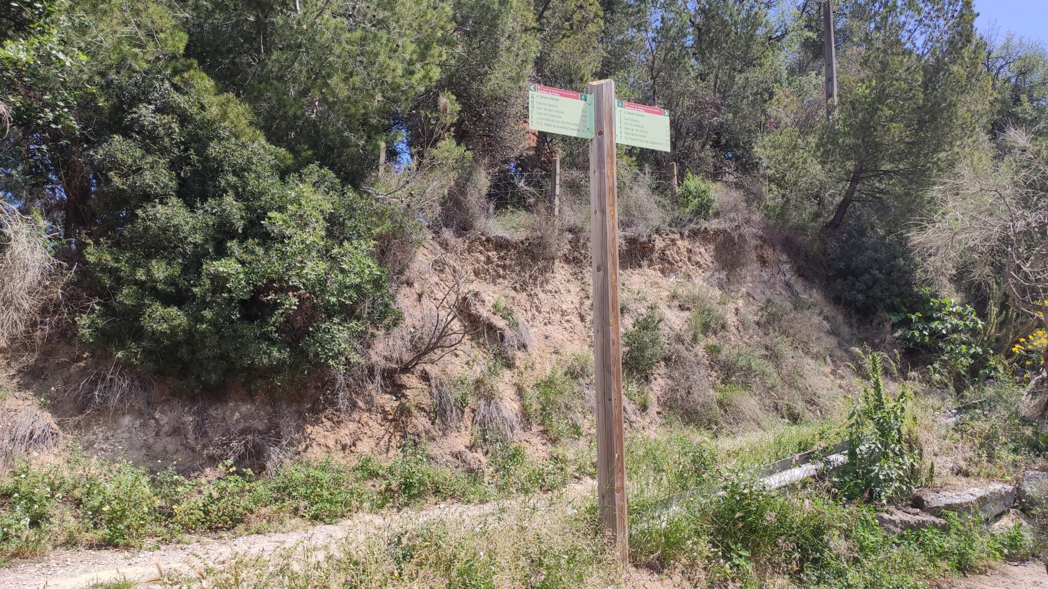 zona de picnic font del radium23 mappicnic 2048x1152