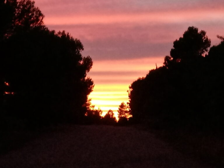 inbound4452791456753217655 768x576