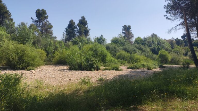 Area recreativa Santa Madron i Font del Cigro24 768x432