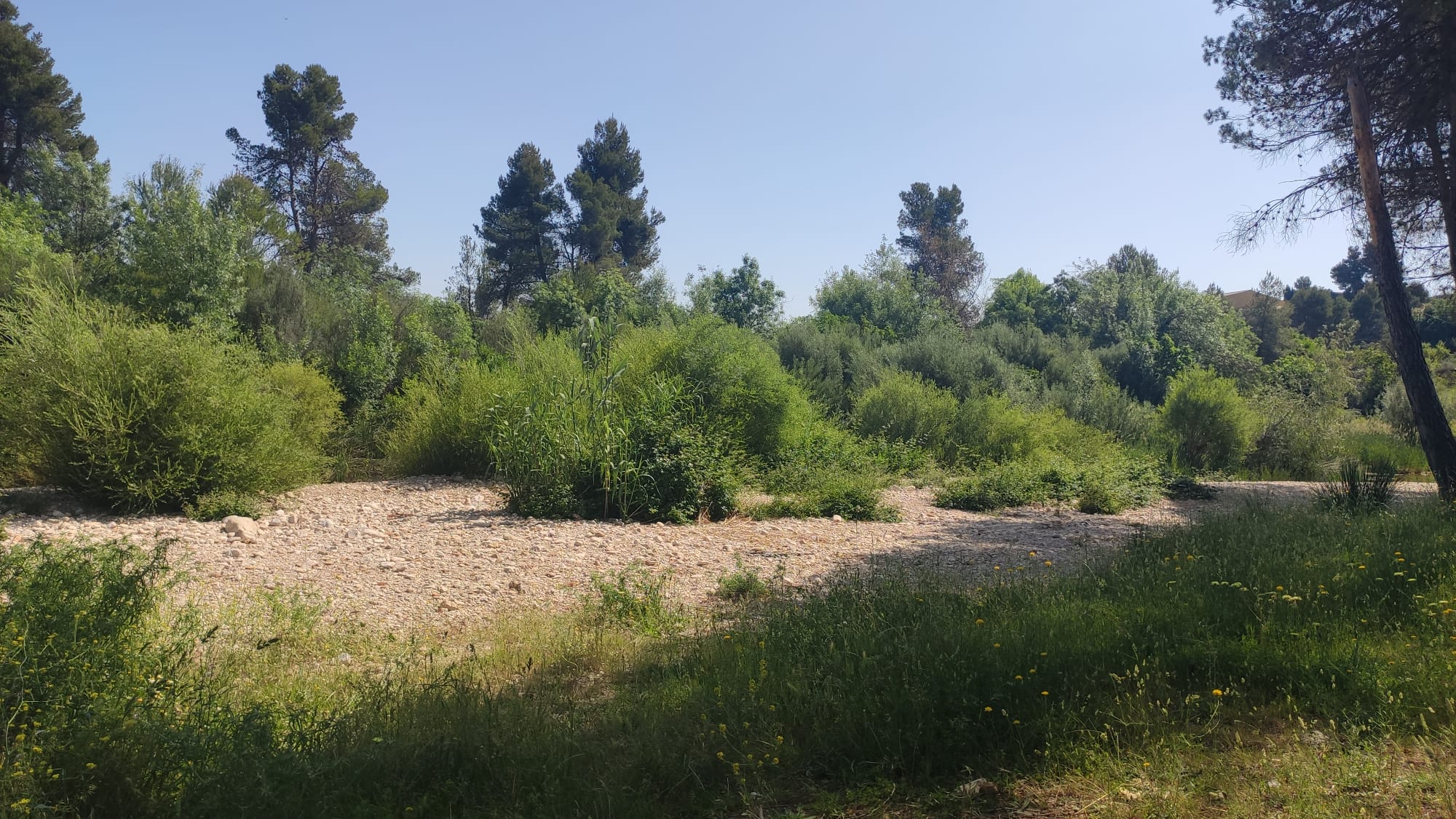 Area recreativa Santa Madron i Font del Cigro24