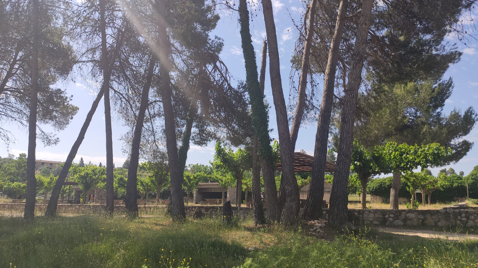 Area recreativa Santa Madron i Font del Cigro25