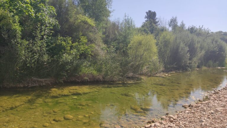 Area recreativa Santa Madron i Font del Cigro33 768x432