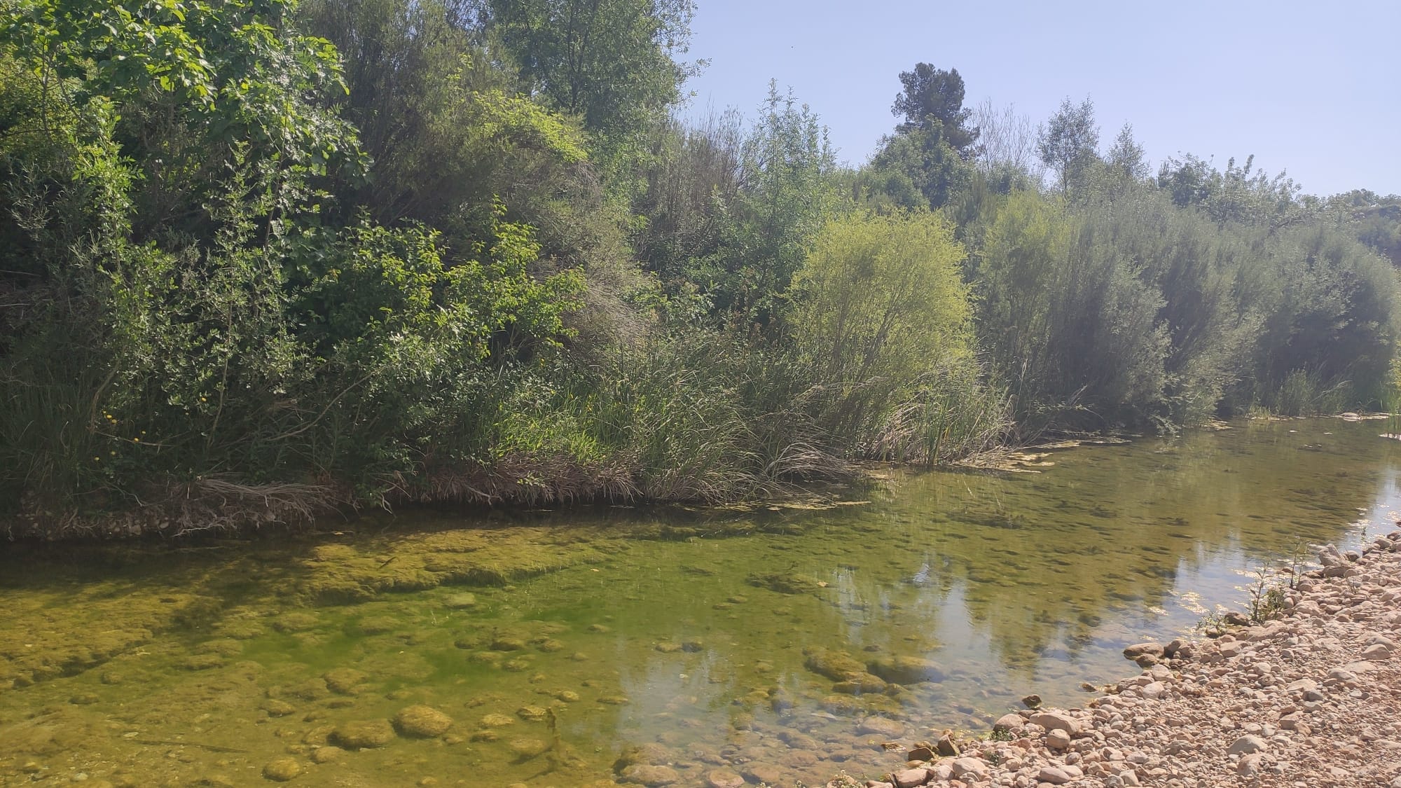 Area recreativa Santa Madron i Font del Cigro33