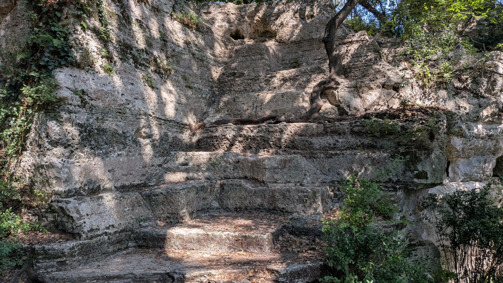 Bosc de Les Estunes Les escletxes porqueres banyoles 24