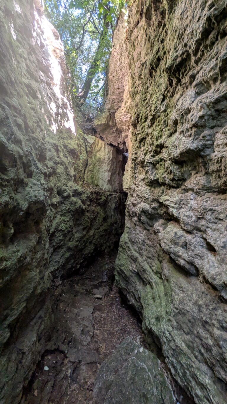 Bosc de Les Estunes Les escletxes porqueres banyoles 29 768x1365