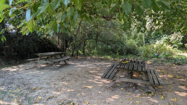 Bosc de Les Estunes Les escletxes porqueres banyoles 35 768x432
