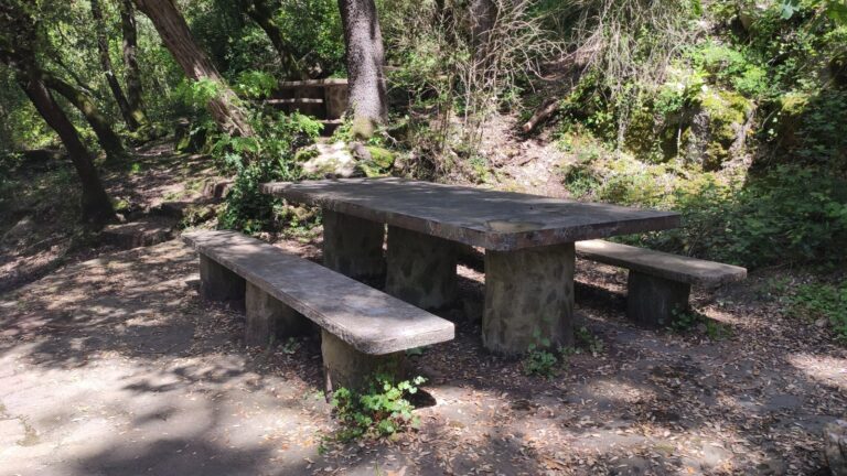 Zona de picnic La Font Fresca Aiguafreda valles oriental mappicnic 12 768x432