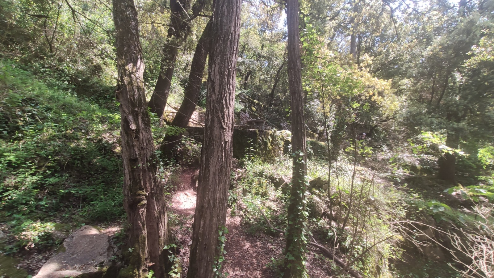 Zona de picnic La Font Fresca Aiguafreda valles oriental mappicnic 18