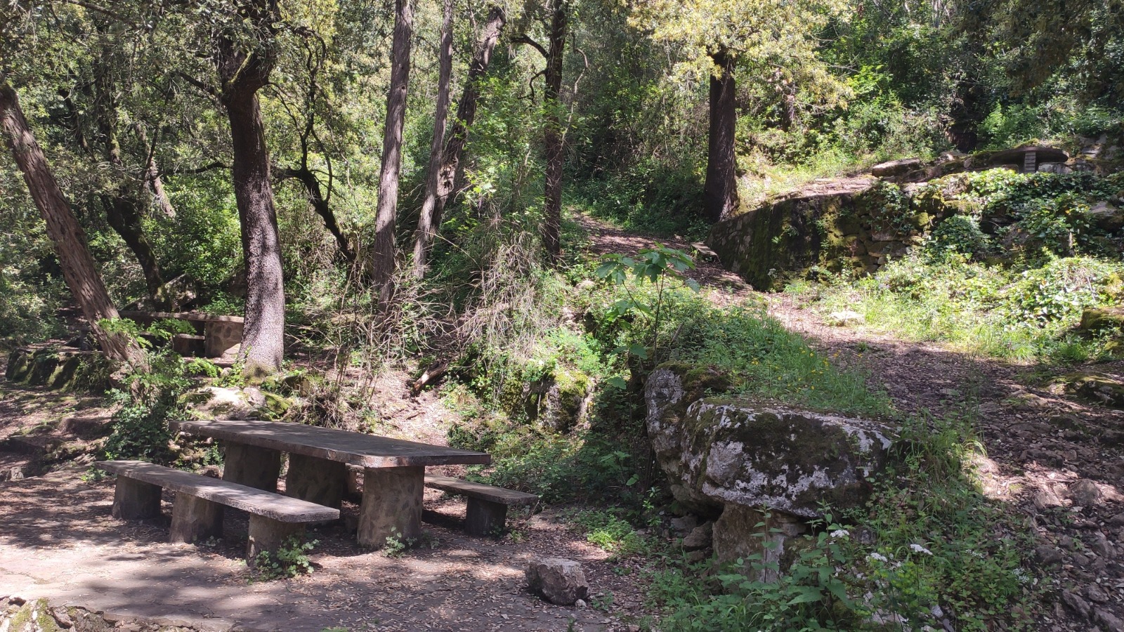 Zona de picnic La Font Fresca Aiguafreda valles oriental mappicnic 21
