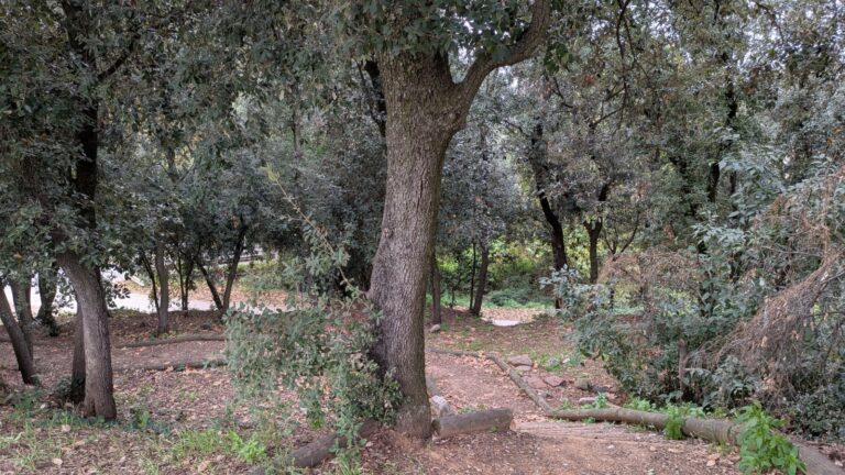 Area autocaravanes La Garriga Villa romana de Can Ter 6 768x432