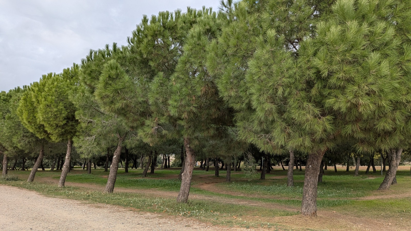 Area d estacionament d autocaravanes La Garriga 10