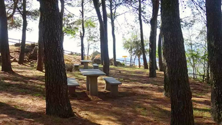 Area desbarjo de Mas Ventos Port de la Selva Alt Emporda3 768x432