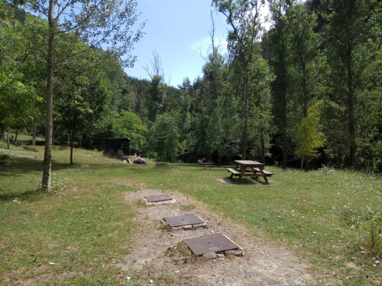 area picnic i barbaoes Riugreixer a baga2 768x576