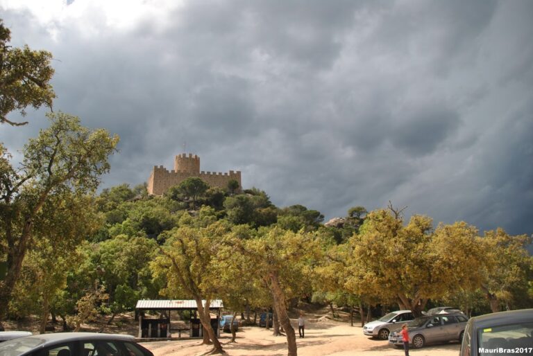 barbacoes de castell de farners 768x514