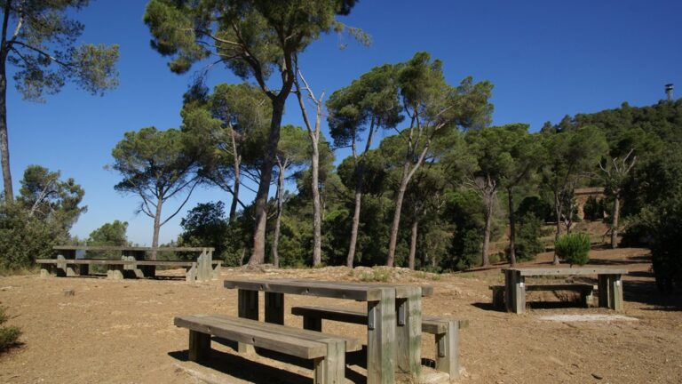 El papiol parc natural collserola area de estada la salut 768x432