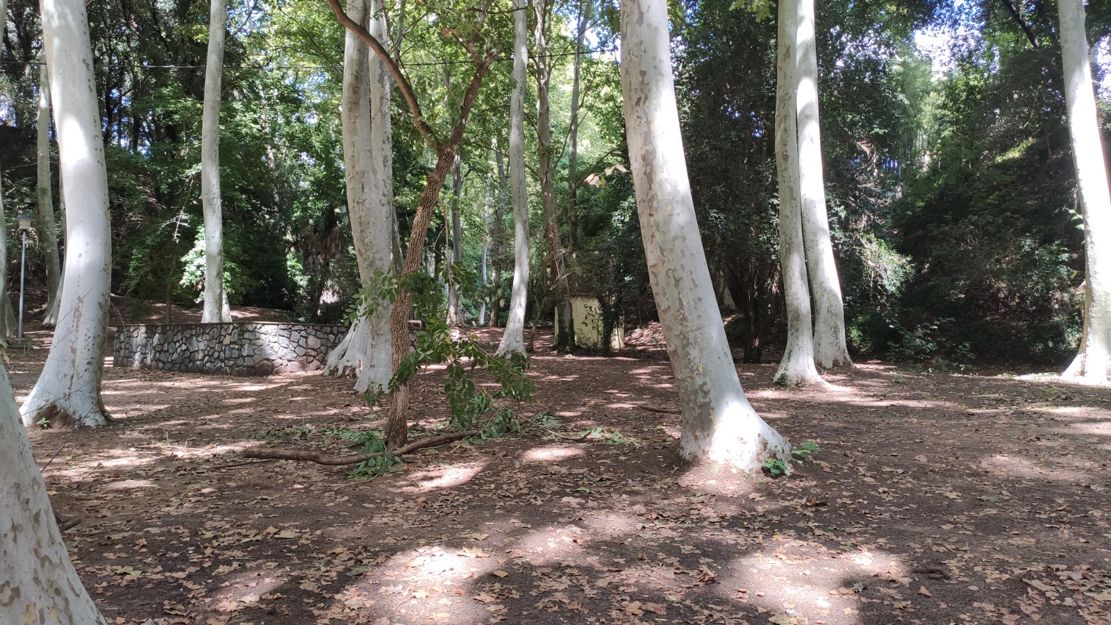 Parc de la Corbadora al Pont del Moli de les Pipes PR C 202 Arbucies 10