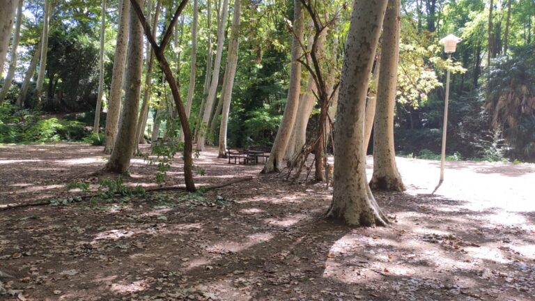 Parc de la Corbadora al Pont del Moli de les Pipes PR C 202 Arbucies 12 768x432