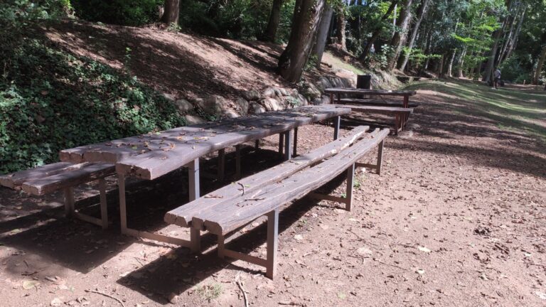 Parc de la Corbadora al Pont del Moli de les Pipes PR C 202 Arbucies 18 768x432