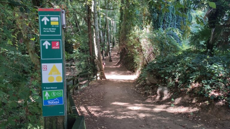 Parc de la Corbadora al Pont del Moli de les Pipes PR C 202 Arbucies 2 768x432